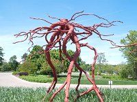 2010 Morton Arboretum Roots